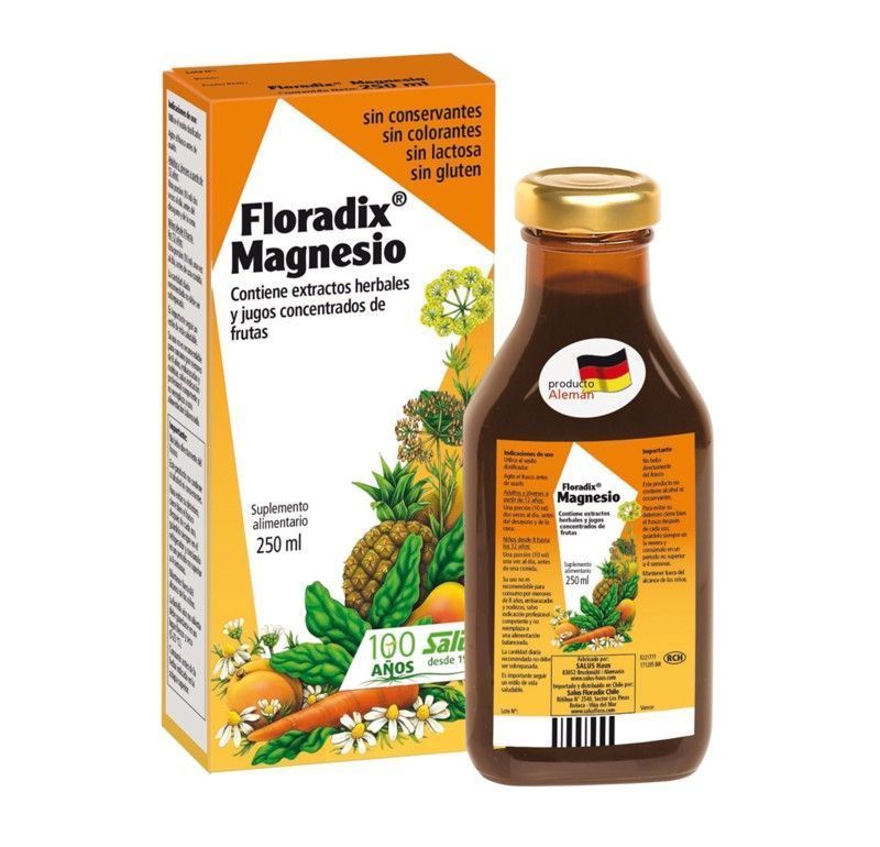 Magnesio Floradix 250 ml