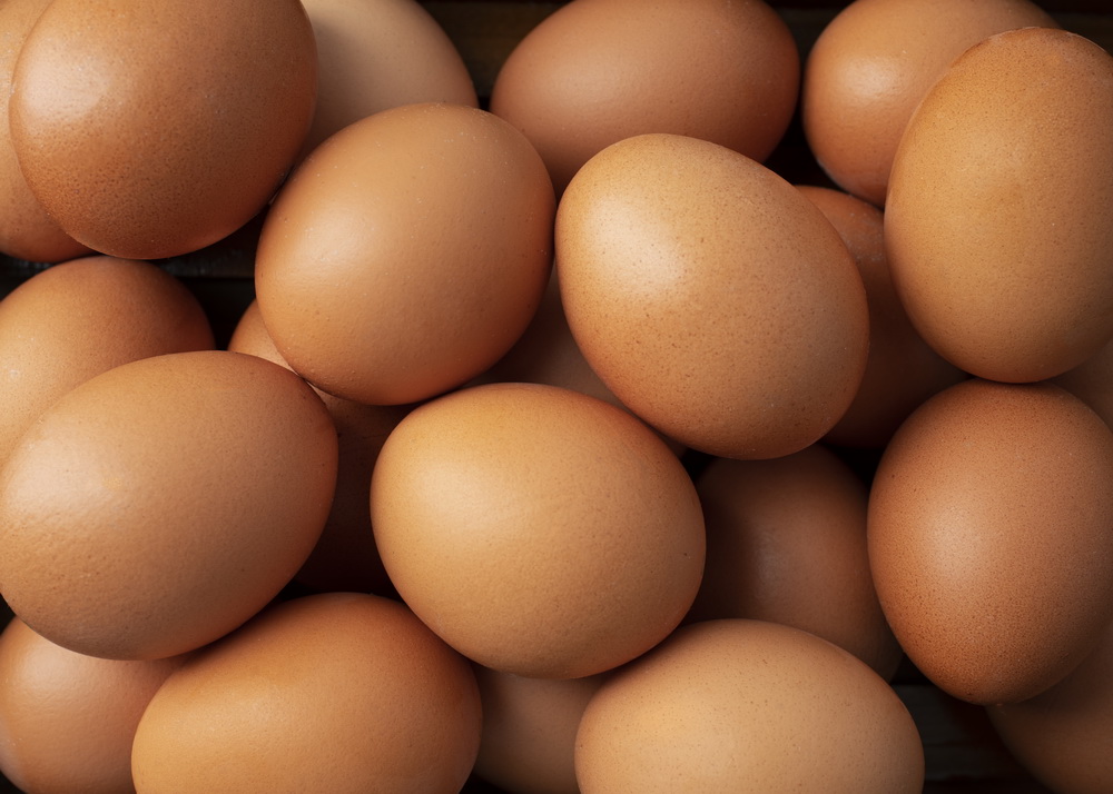 18 Huevos de Gallinas Libres Ecoterra