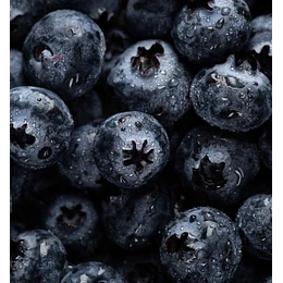 caja de arándanos, 500g, Prana Fruit