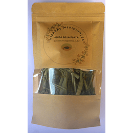 HIERBA DE LA PLATA
