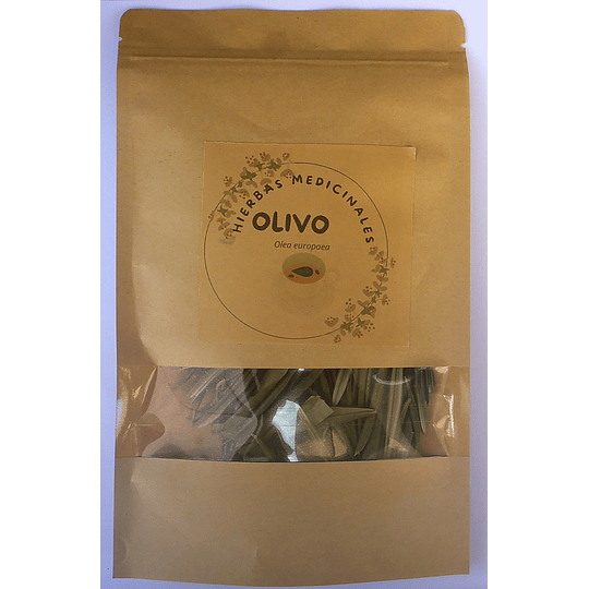 OLIVO