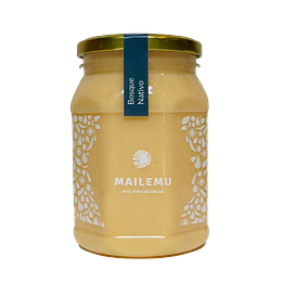 Miel, Bosque Nativo, 1kg, Mailuemu