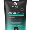Creatine Plus, 410g, Wellplus