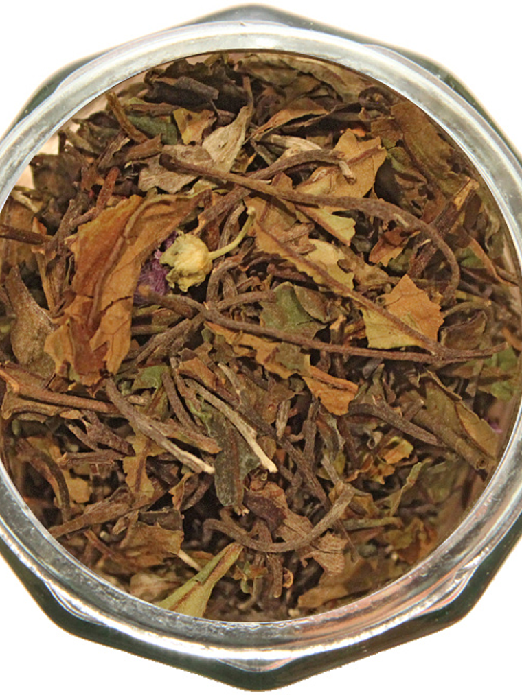 Jardí­n de Flores 1