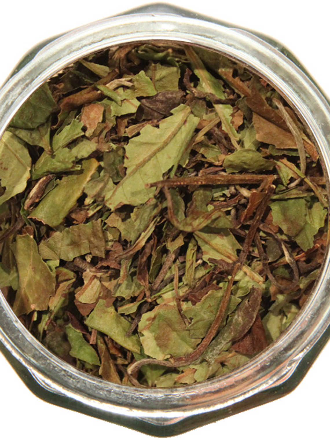 Fiesta de Medio Verano 1