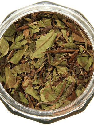 Fiesta de Medio Verano