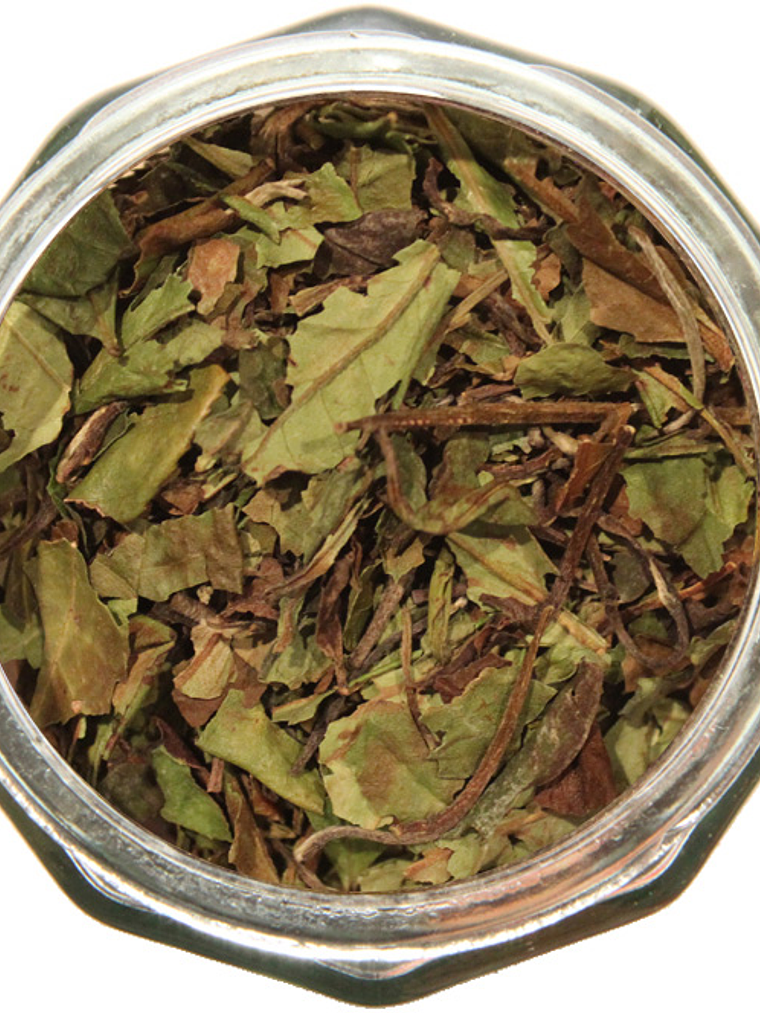 Fiesta de Medio Verano 1