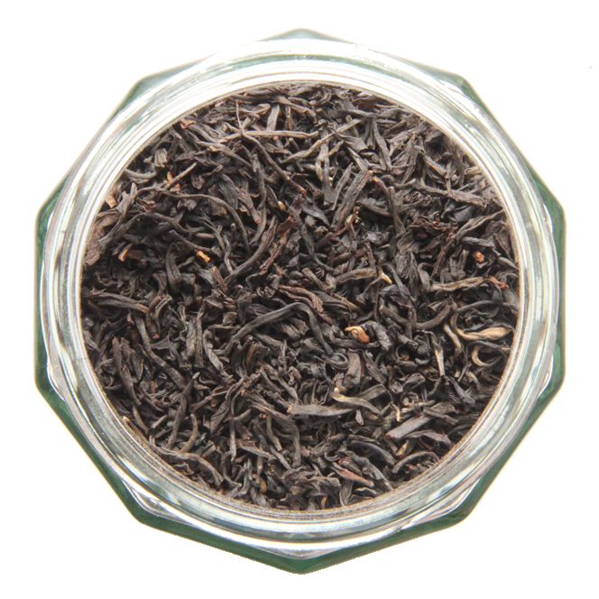 Nilgiri FOP