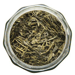 Sencha STD