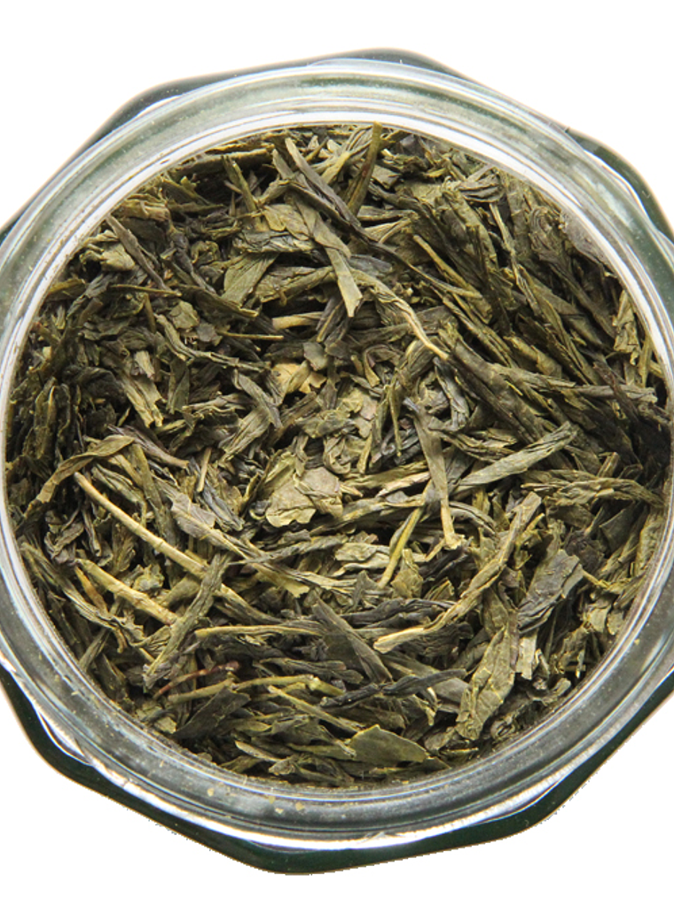Sencha STD 1