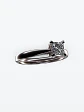 Demo - Anillo - Miniatura 1