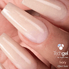 TECH GEL NEW COLORES