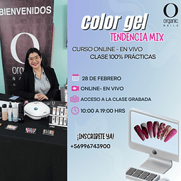 CURSO COLOR GEL TENDENCIA MIX 