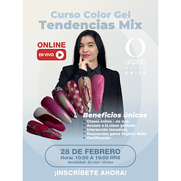 CURSO COLOR GEL TENDENCIA MIX 