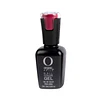 COLOR GEL 172 PASSION 15ML