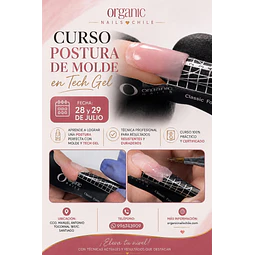  CURSO TECHGEL -POSTURA DE MOLDE 