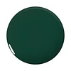 COLOR GEL 210 JUNGLE BEU 15 ML 