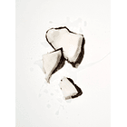 Aceite Corporal Coconut 4