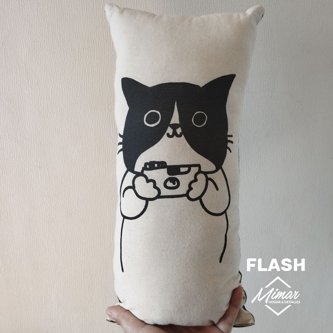 Flash