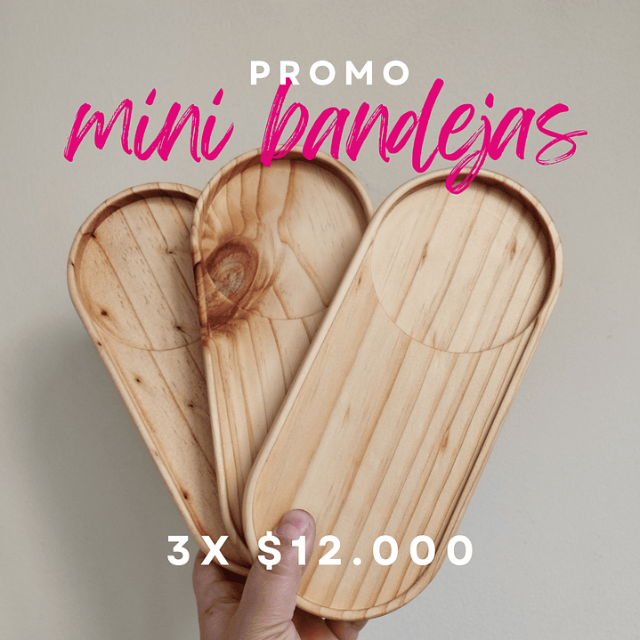 Promo 3 Mini bandejas 1