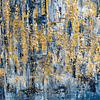 City of Gold -  155 x 90 x 4 cm