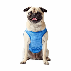 GF PET - Capa Refrescante Ice Vest Elastofit M