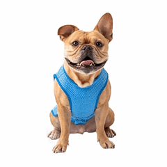 GF PET - Capa Refrescante Ice Vest Elastofit L