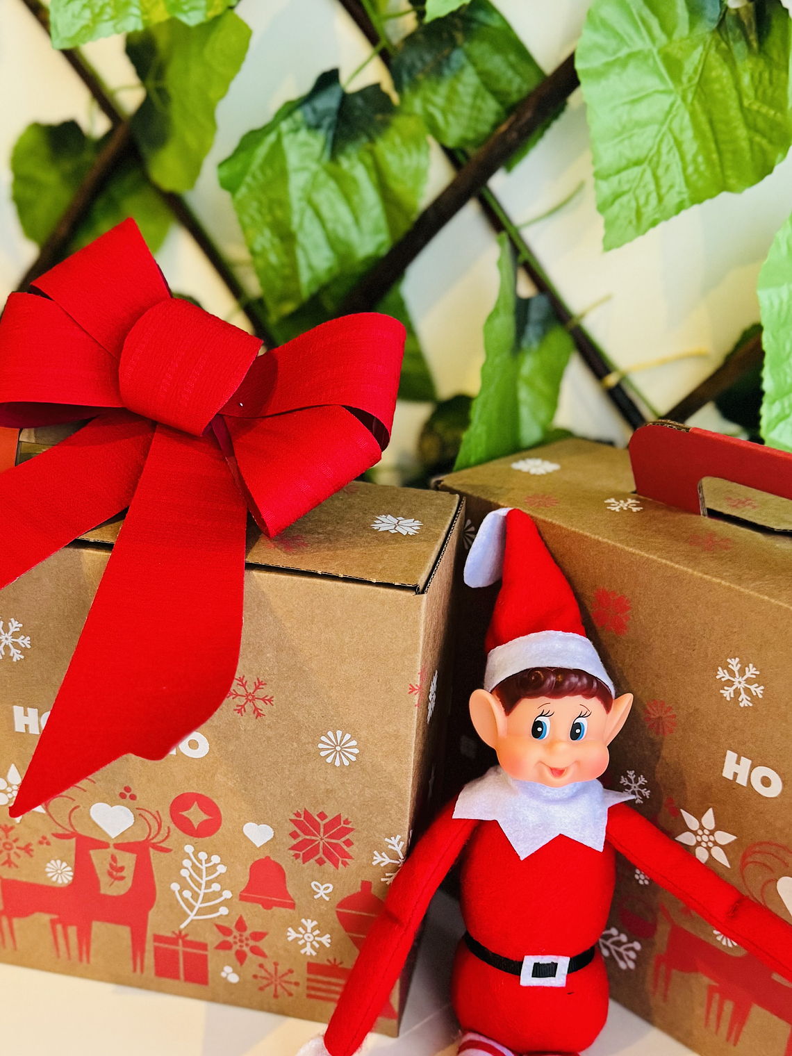 Elfo Mágico - Kit Completo (2 Elfos + Kit de Aventuras) 3