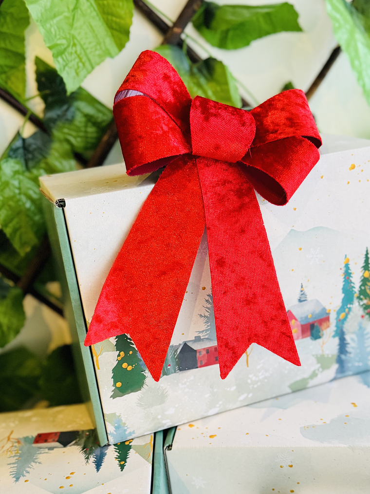 Magia em Família - Versão 24 dias   3