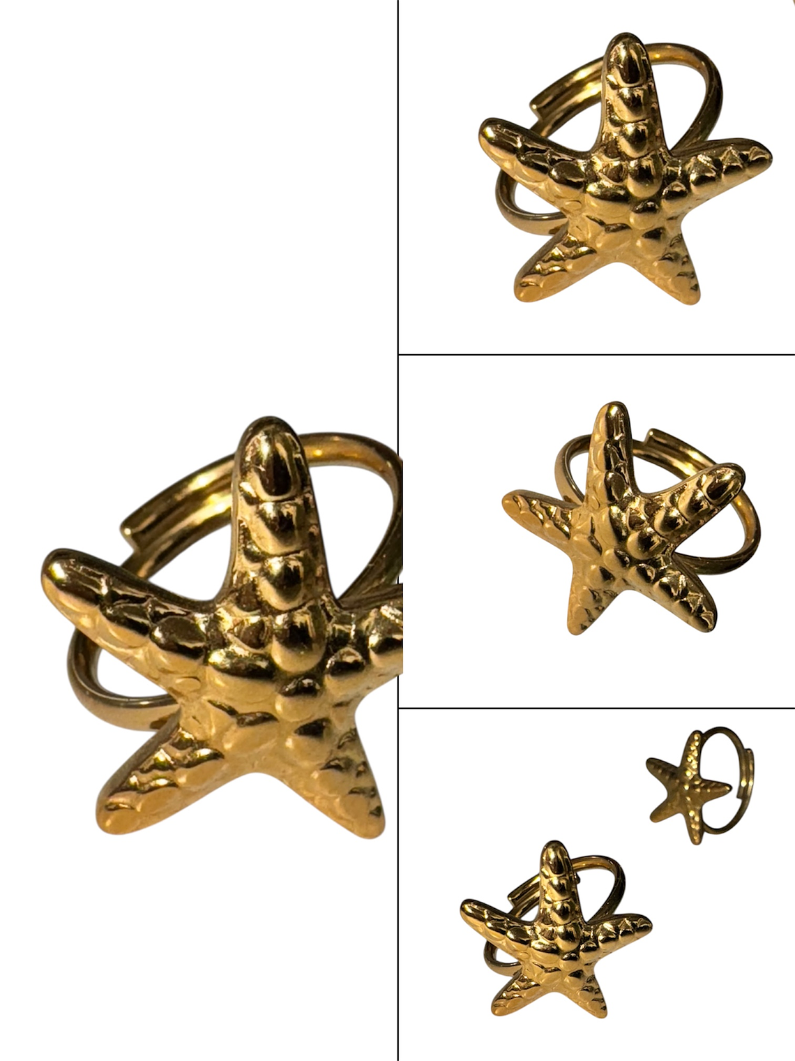 Anel Íris – Estrela-do-Mar 2