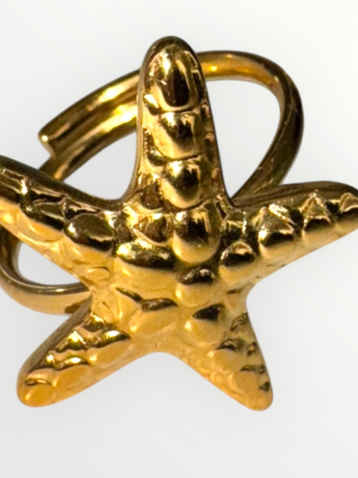 Anel Íris – Estrela-do-Mar 1