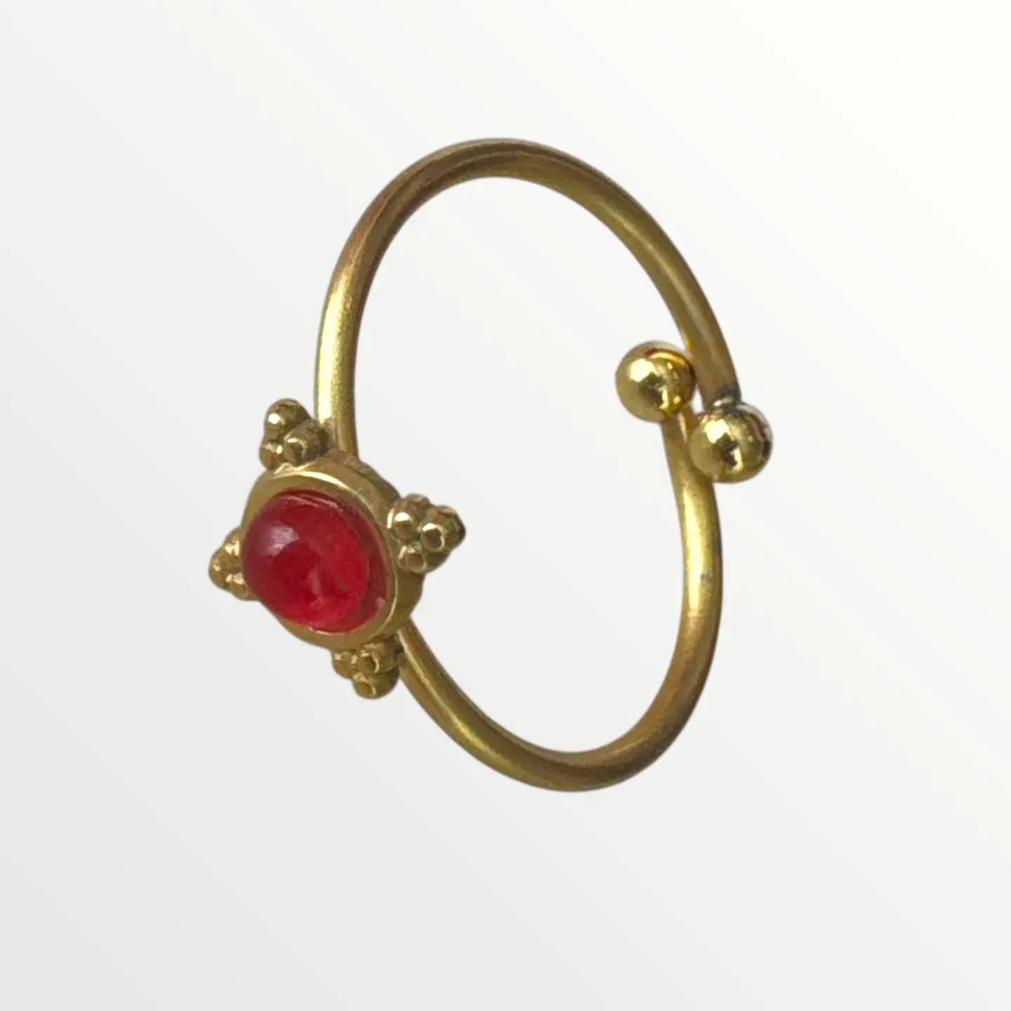 Anel Carmim 1