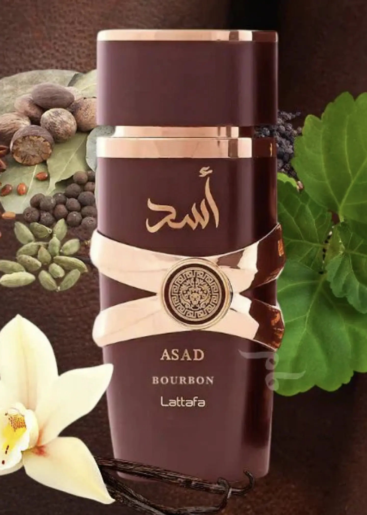 ASAD BOURBON 3