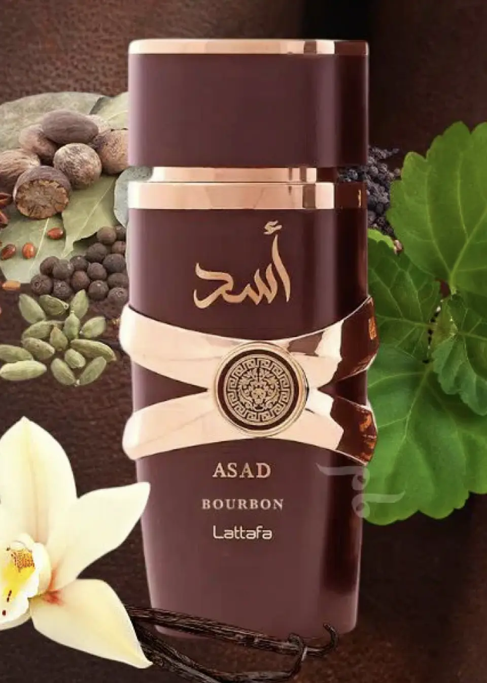 ASAD BOURBON 3