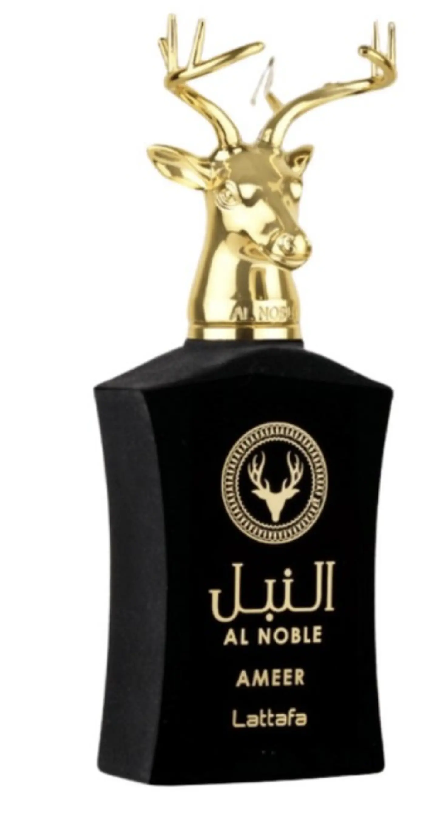 Ameer Al Noble 2