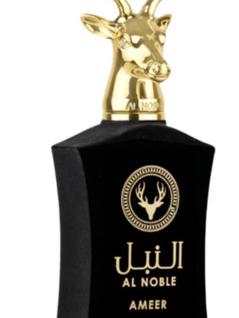 Ameer Al Noble 2