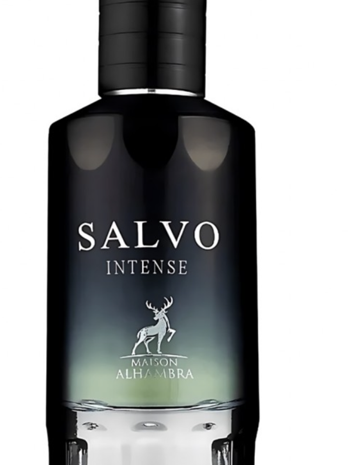 Salvo Intense 1