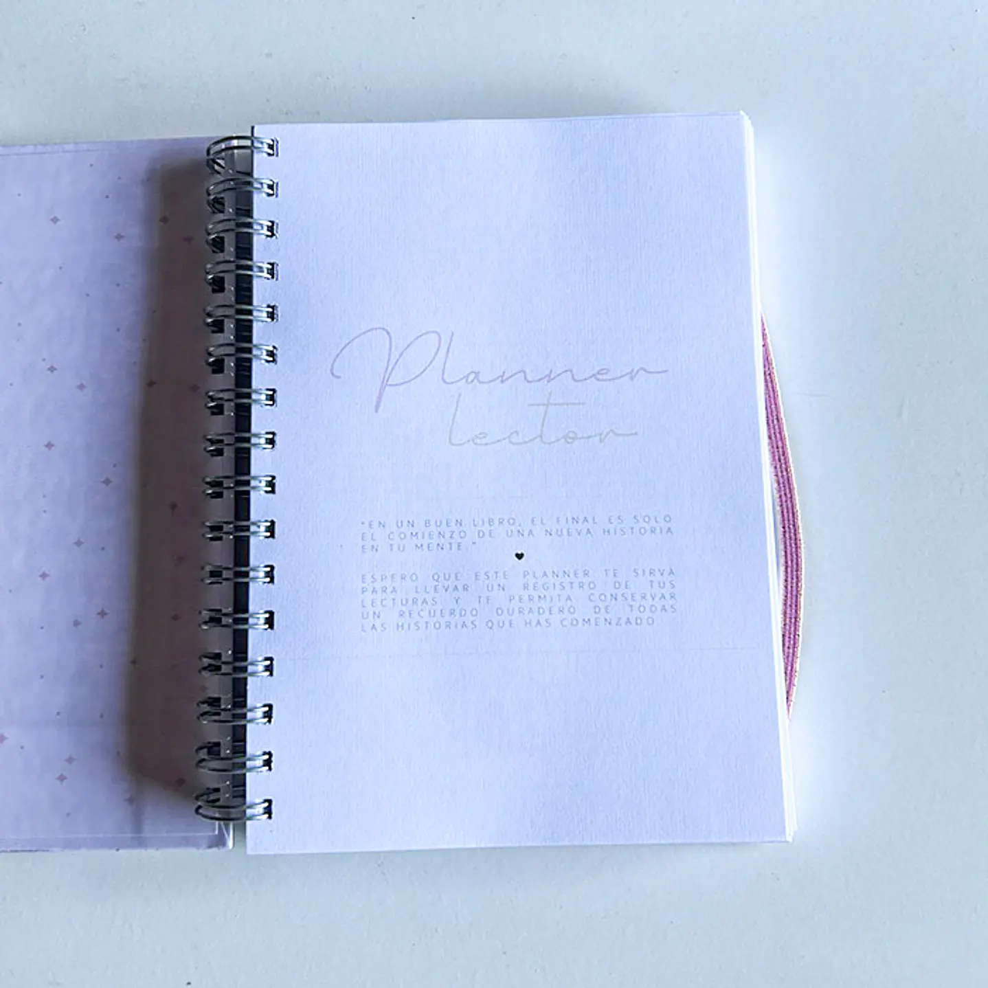Cozy Pink - Planner Lector A6 / Pequeño 3
