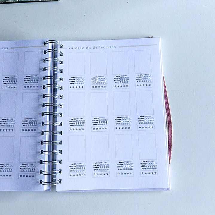 Cozy Pink - Planner Lector A6 / Pequeño 6