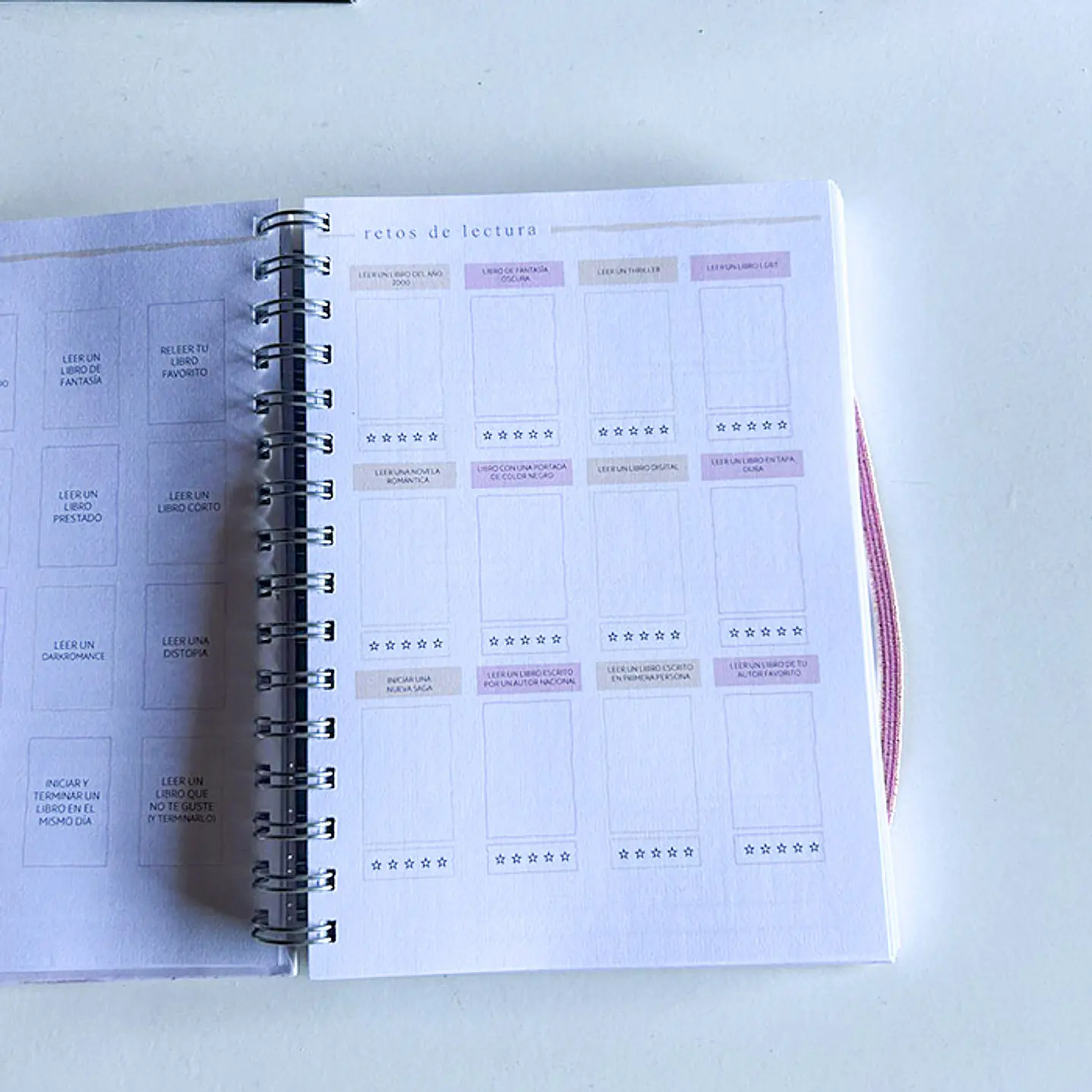 Cozy Pink - Planner Lector A6 / Pequeño 12