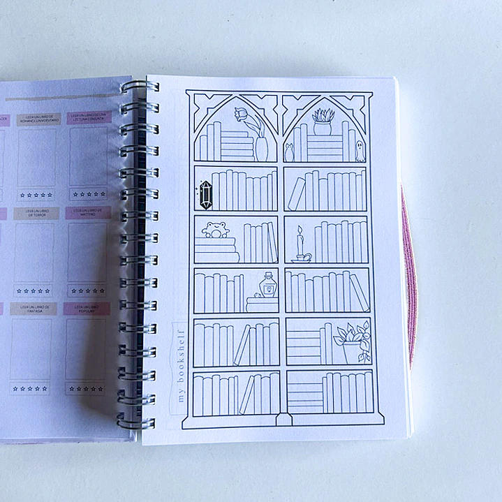 Cozy Pink - Planner Lector A6 / Pequeño 14