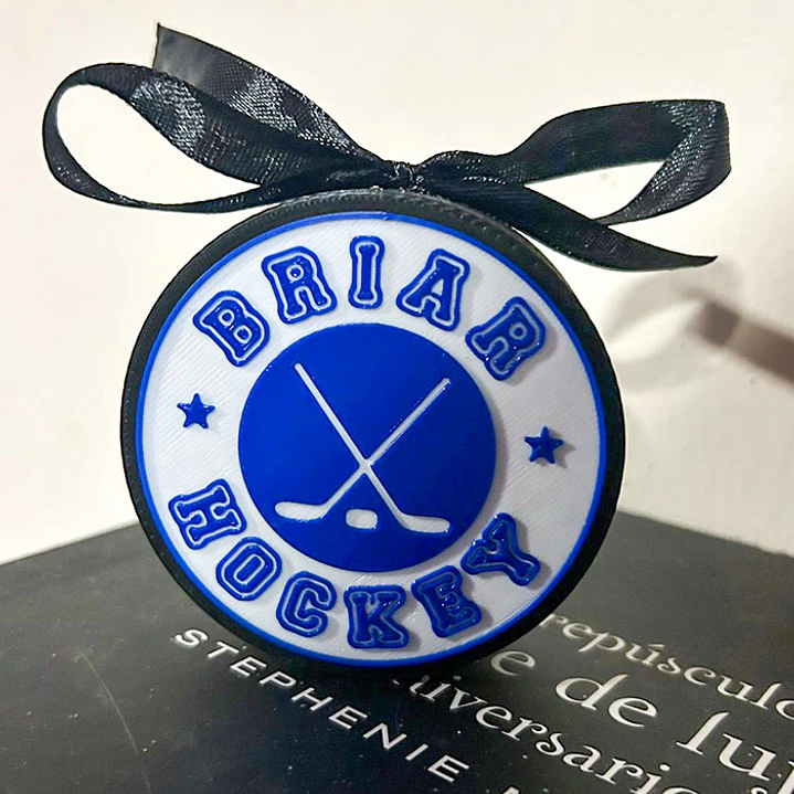 Disco de Hockey  Briar [Serie Off-Campus/Kiss Me] - Decorativo en 3D