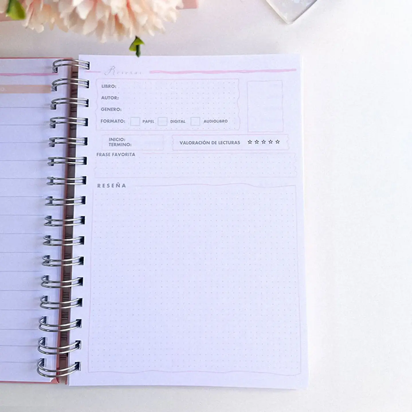 Purple Dragons - Planner Lector 3