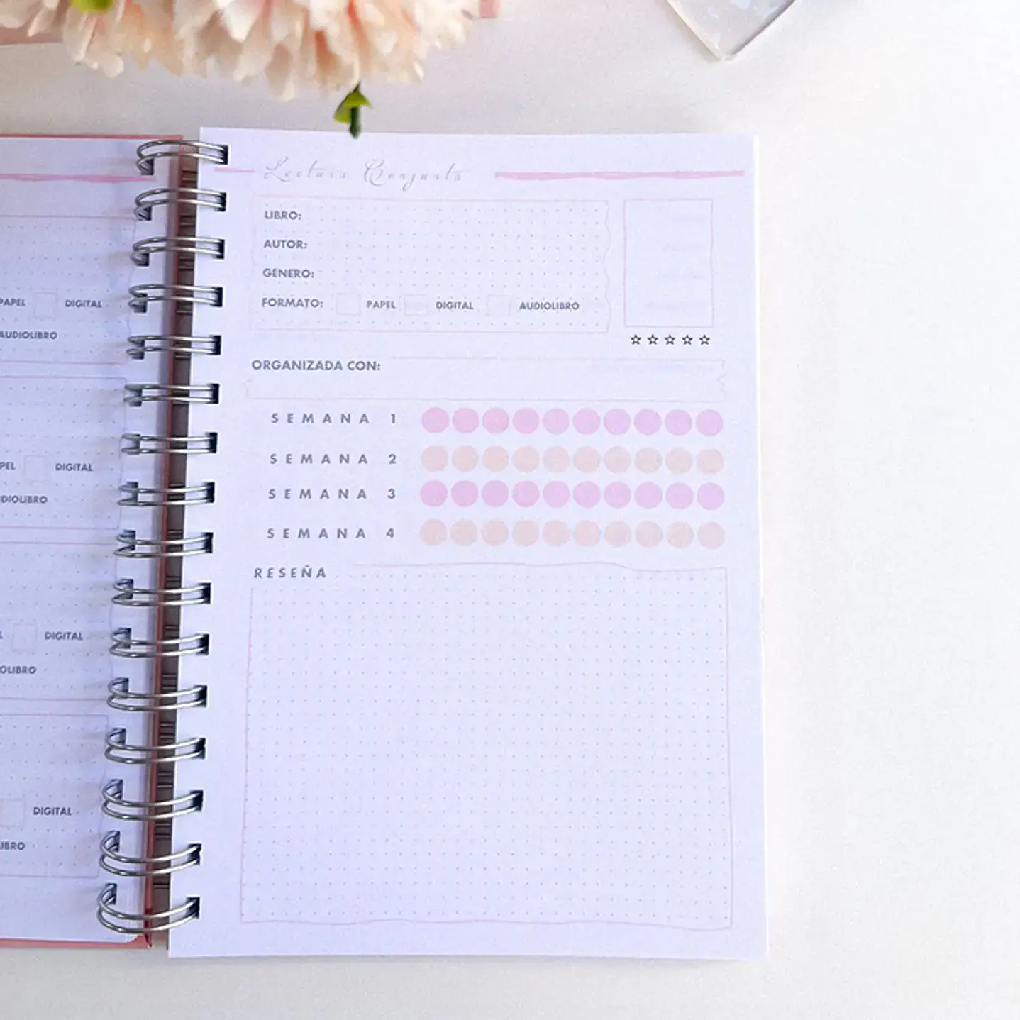 Purple Dragons - Planner Lector 6