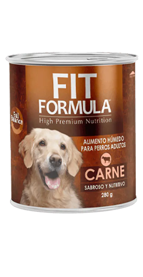 FIT LATA CARNE PERRO 280G