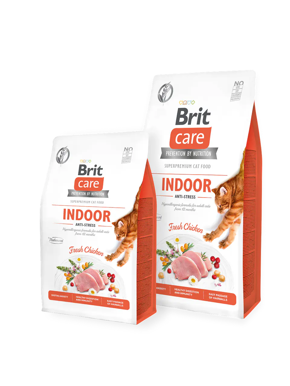 BRIT CARE CAT INDOOR 2 KG 1