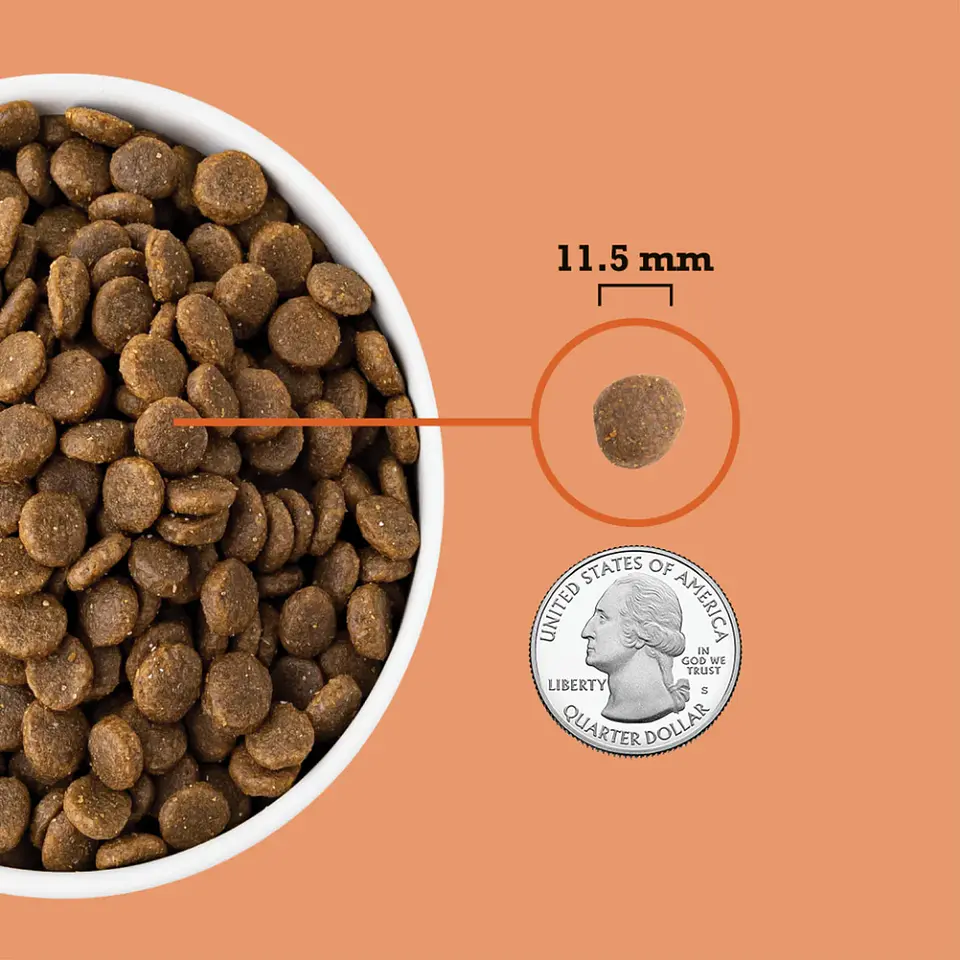 ACANA PUPPY RECIPE 5.8KG 5
