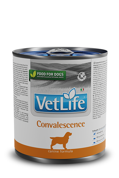 VETLIFE PERRO CONVALECIENTE 300G