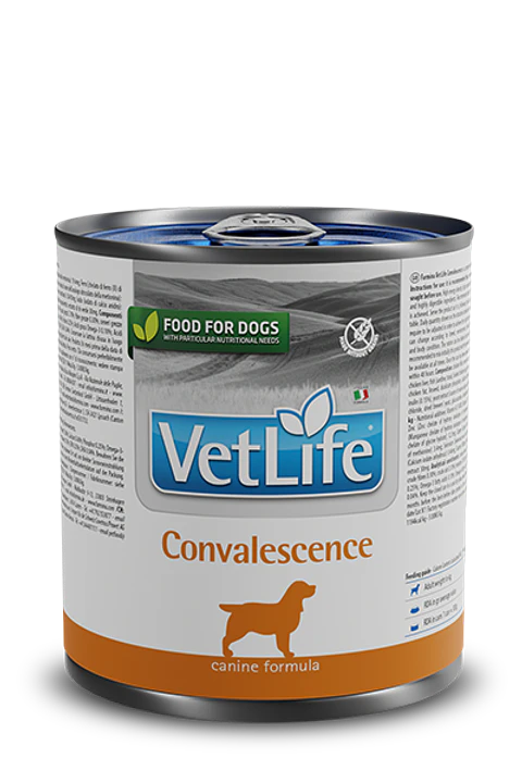 VETLIFE PERRO CONVALECIENTE 300G