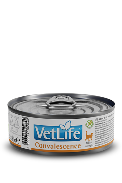 VETLIFE GATO CONVALECIENTE 85G